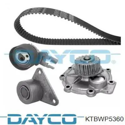 Juego de correas dentadas Dayco KTBWP5360 precio, desde 281,11 EUR