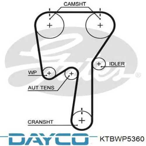 KTBWP5360 Dayco kit correa de distribución