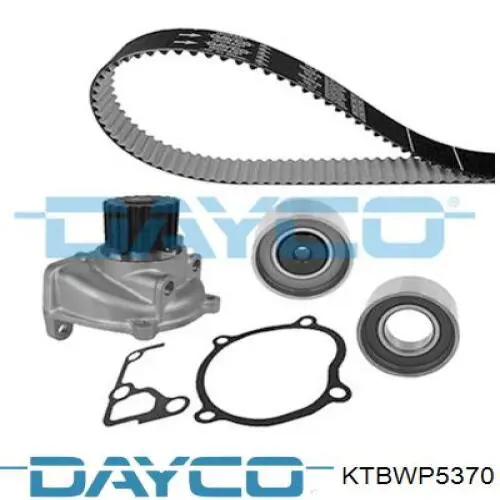 Juego de correas dentadas Dayco KTBWP5370 precio, desde 429,65 EUR