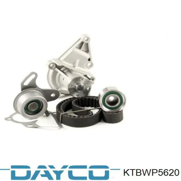 Juego de correas dentadas Dayco KTBWP5620 precio, desde 333,71 EUR