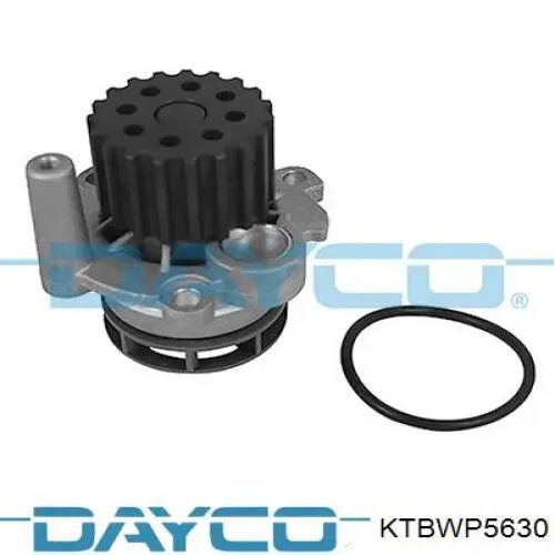 Kit correa de distribución Volkswagen Tiguan 1 5N1, 5N2