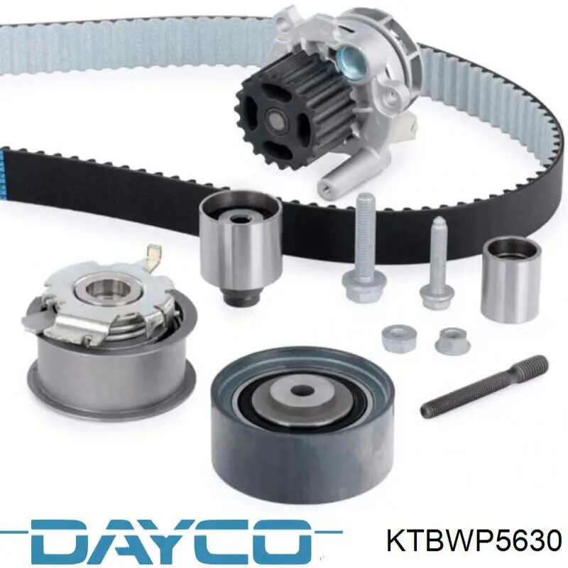 Kit correa de distribución Volkswagen Tiguan 1 5N1, 5N2