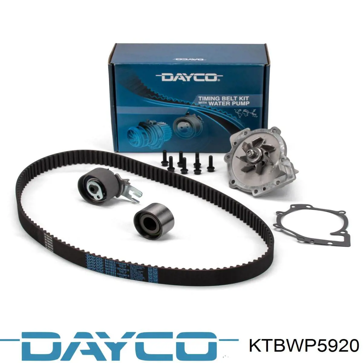 Juego de correas dentadas Dayco KTBWP5920 precio, desde 134,64 EUR