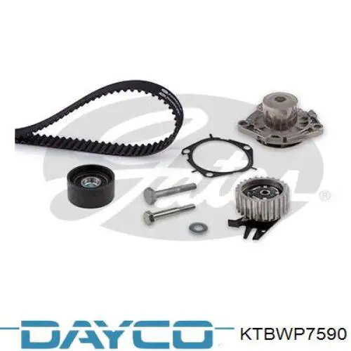 Juego de correas dentadas Dayco KTBWP7590 precio, desde 110,60 EUR