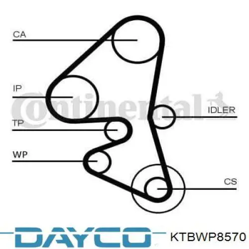 Kit de distribución KTBWP8570 Dayco
