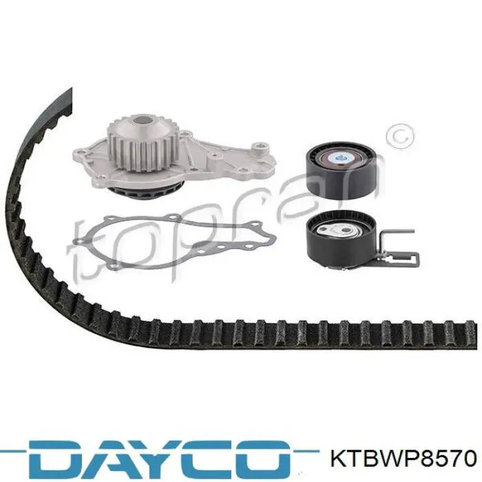 Comprar KTBWP8570 Dayco Kit de correa de distribución