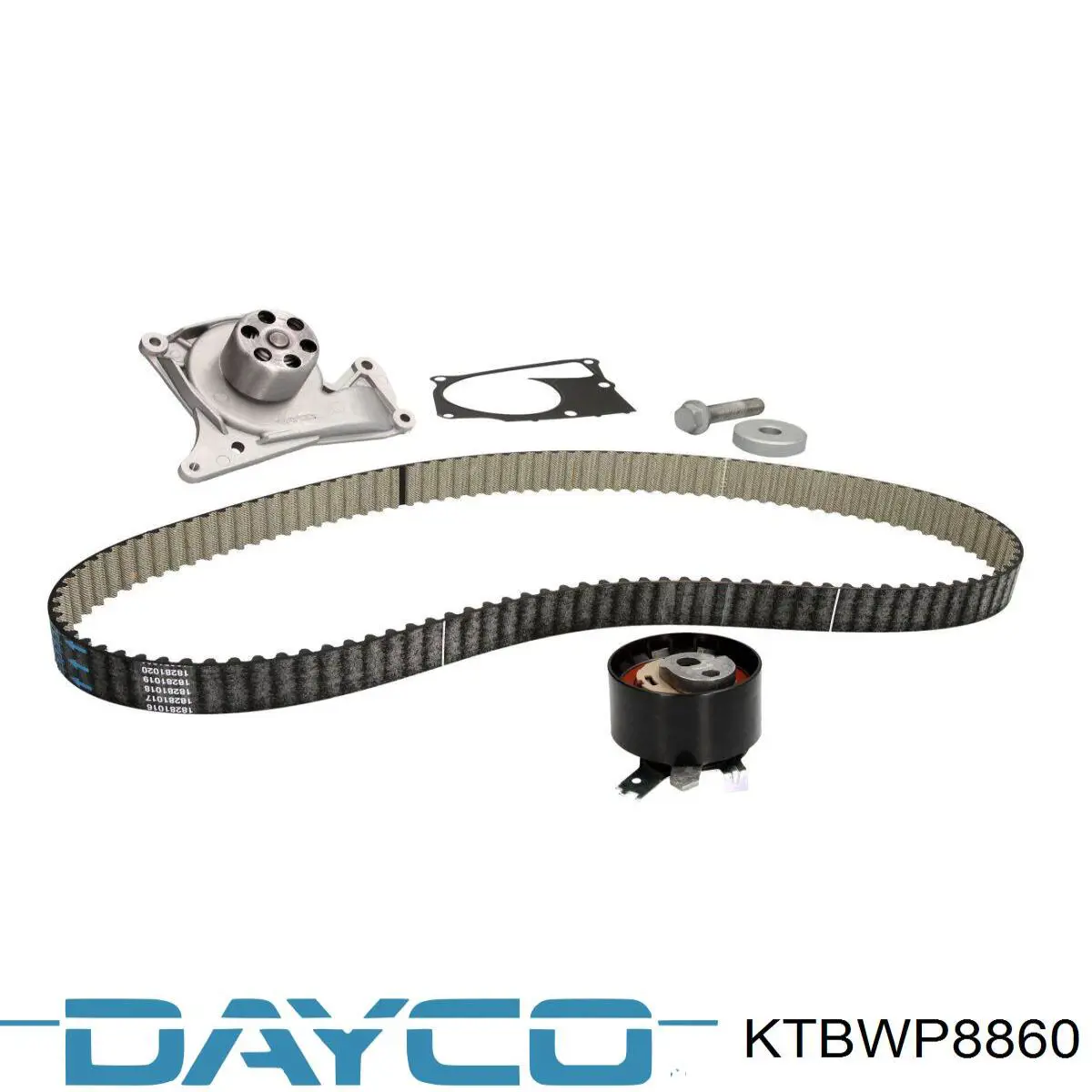Comprar KTBWP8860 Dayco Kit de correa de distribución