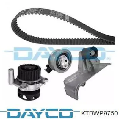 Juego de correas dentadas Dayco KTBWP9750 precio, desde 352,58 EUR