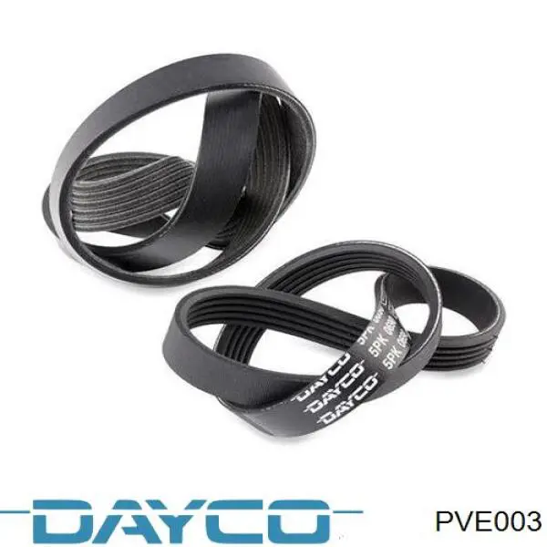 PVE003 Dayco Correa de transmisión, completo