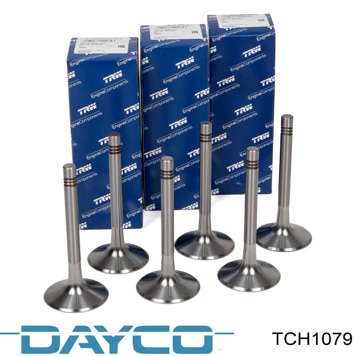 Cadena de distribución Dayco TCH1079 precio, desde 42,61 EUR