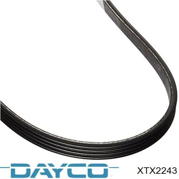 XTX2243 Dayco correa cvt