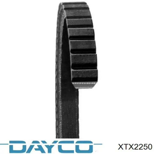 XTX2250 Dayco correa cvt