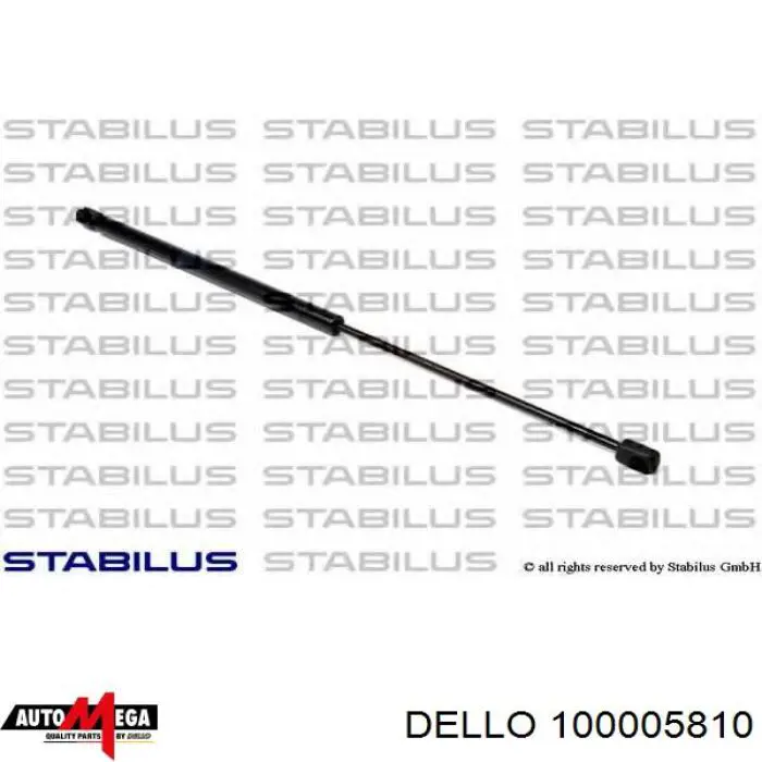 100005810 Dello/Automega