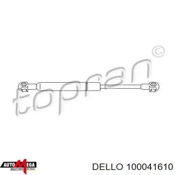 100041610 Dello/Automega