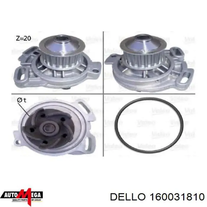 160 031 810 Dello/Automega bomba de agua