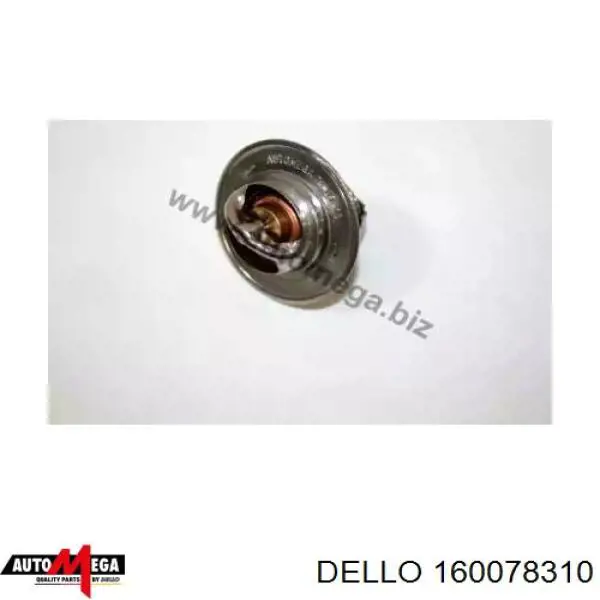 160078310 Dello/Automega termostato, refrigerante