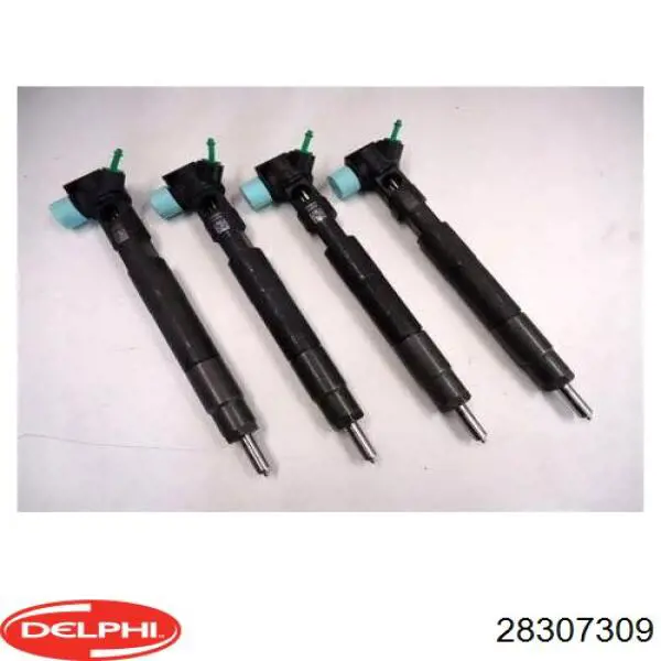 Inyectores Delphi 28307309 precio, desde 66,55 EUR