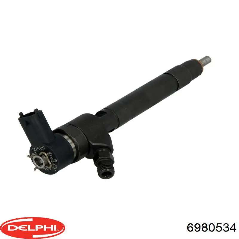 6980534 Delphi pulverizador inyector