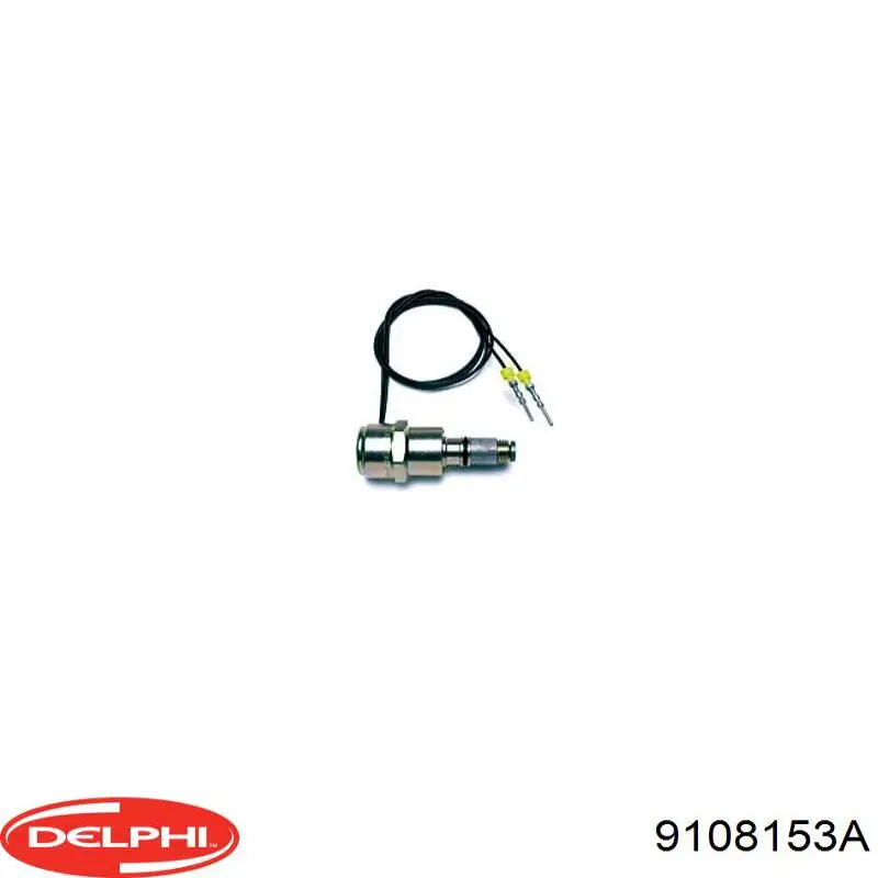 Corte, inyección combustible Delphi 9108153A