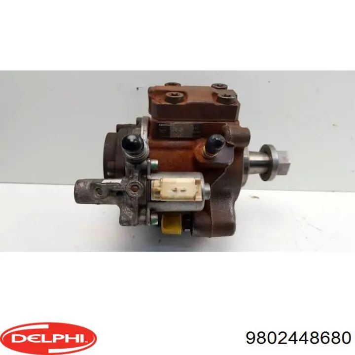 9802448680 Delphi inyector de combustible