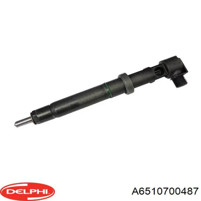 A6510700487 Delphi inyector de combustible