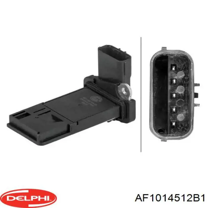 AF10145-12B1 Delphi sensor de flujo de aire/medidor de flujo (flujo de aire masibo)