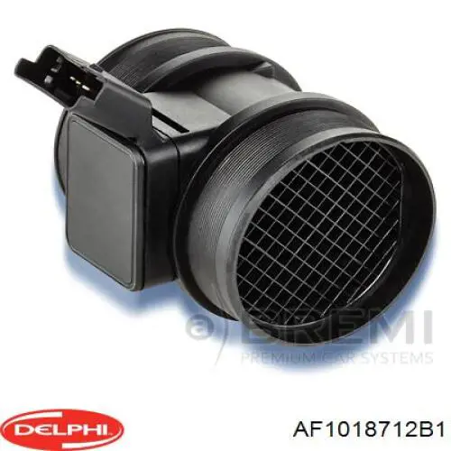 AF1018712B1 Delphi medidor de masa de aire