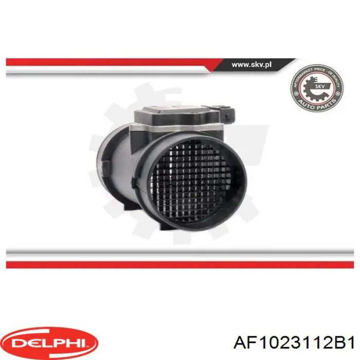 AF10231-12B1 Delphi medidor de masa de aire