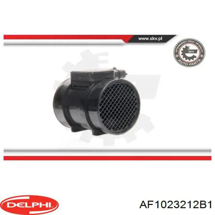 AF1023212B1 Delphi medidor de masa de aire