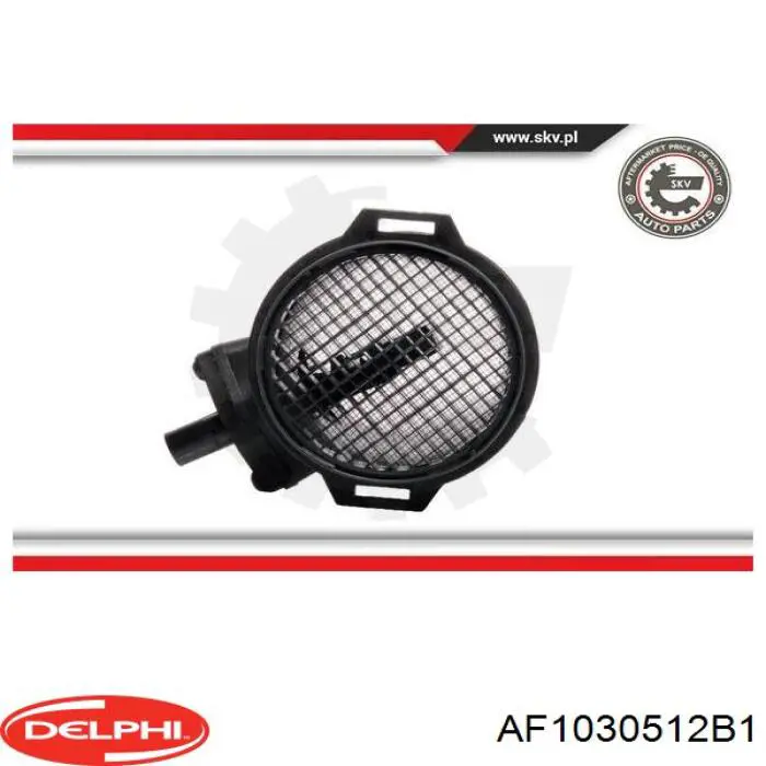 AF1030512B1 Delphi medidor de masa de aire