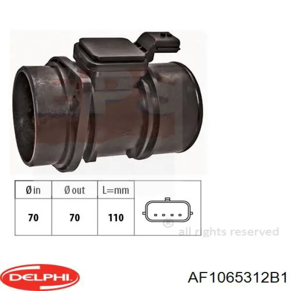 AF10653-12B1 Delphi caudalímetro