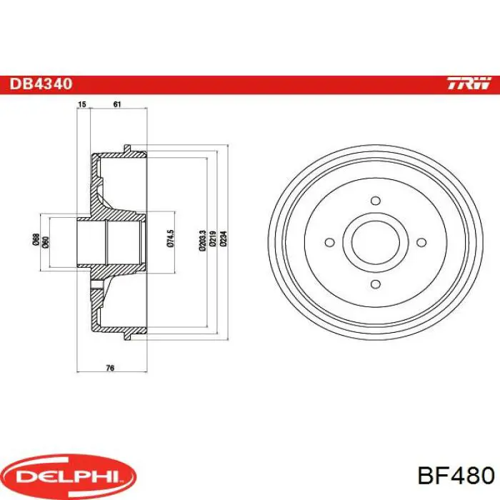 BF480 Delphi freno de tambor trasero