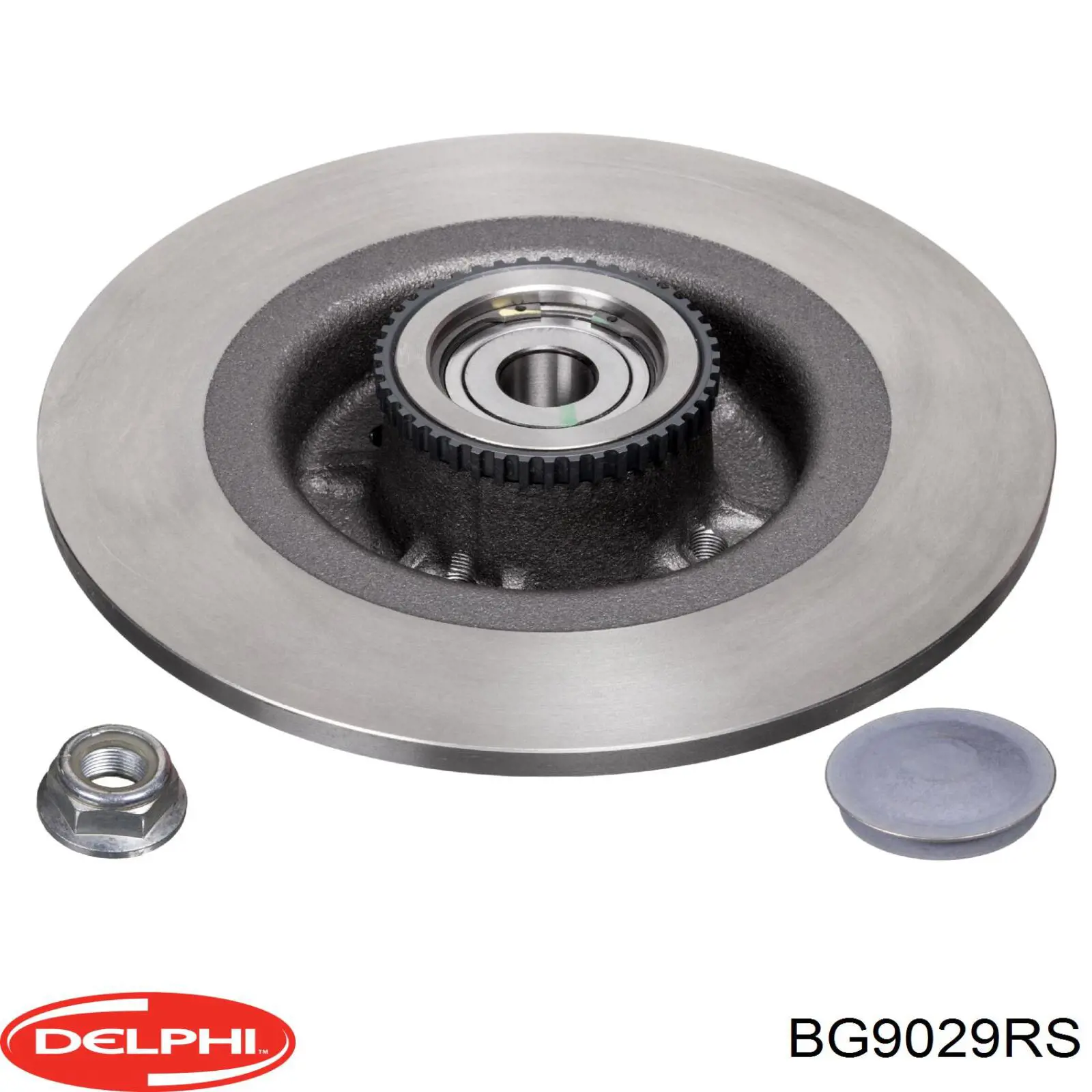 Disco de freno trasero Delphi BG9029RS precio, desde 49,01 EUR