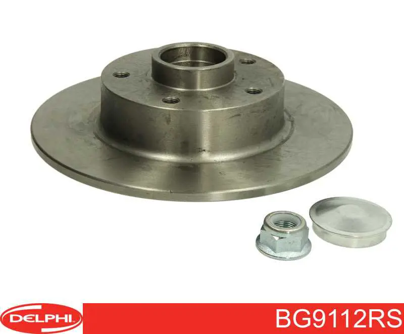 Disco de freno trasero Delphi BG9112RS precio, desde 63,89 EUR
