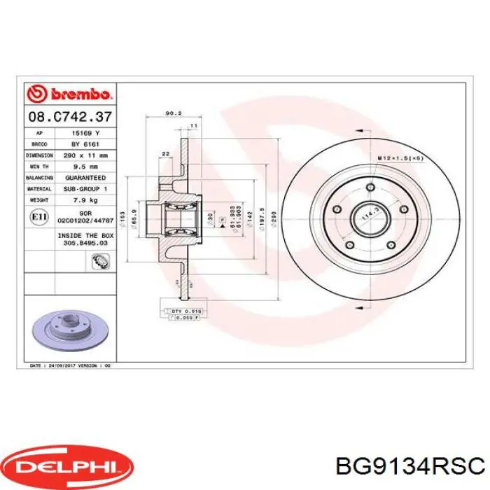 BG9134RSC Delphi disco de freno trasero