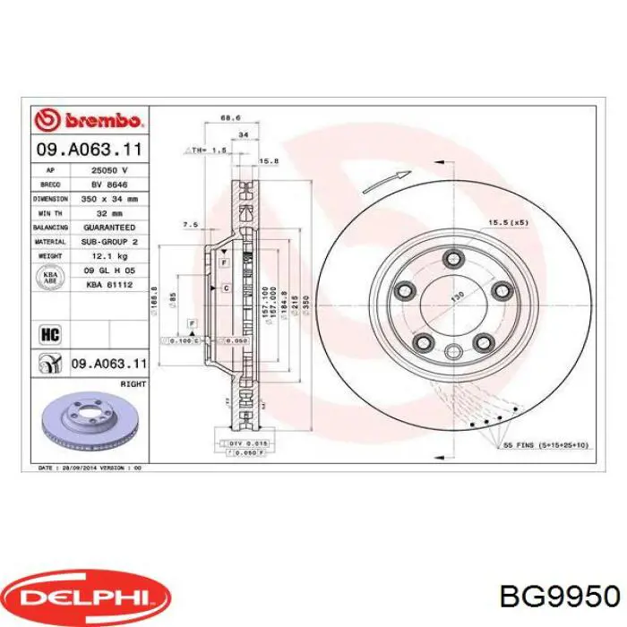 Delphi BG4045 Disco Freno Anteriore/Posteriore (Coppia) - Qualità OE, Compatibile Con Vari Modelli Auto, Verifica Veicolo