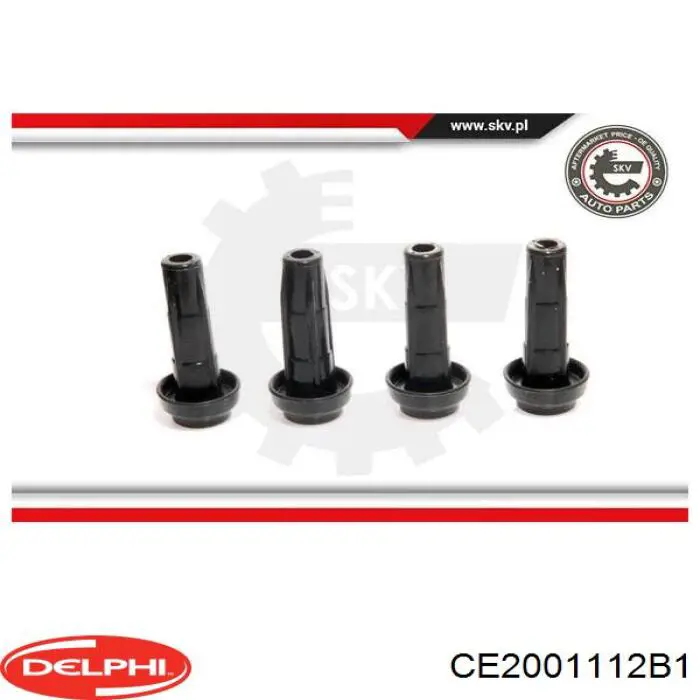 Comprar CE2001112B1 Delphi Bobina