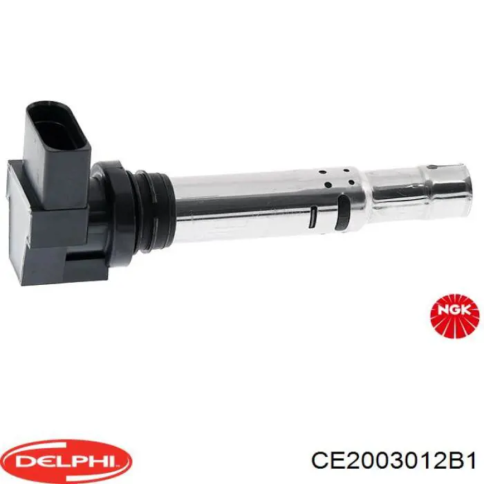 Comprar CE2003012B1 Delphi Bobina