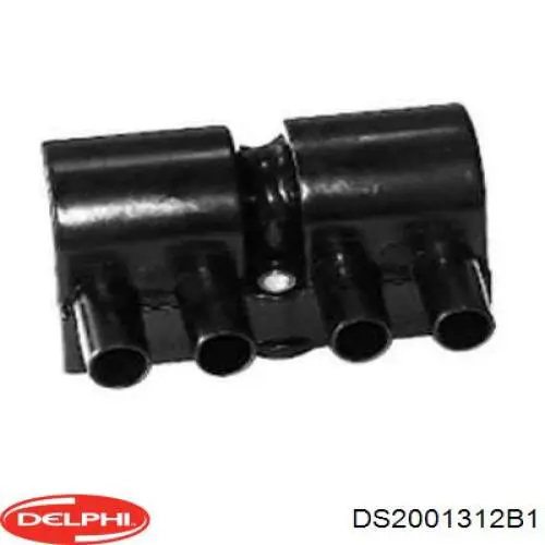 Comprar DS2001312B1 Delphi Bobina