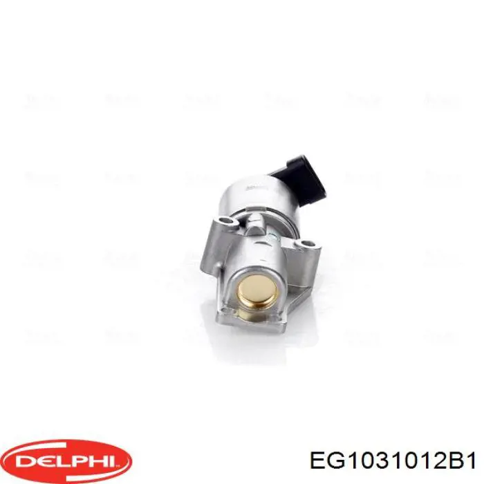 EGR Delphi EG1031012B1