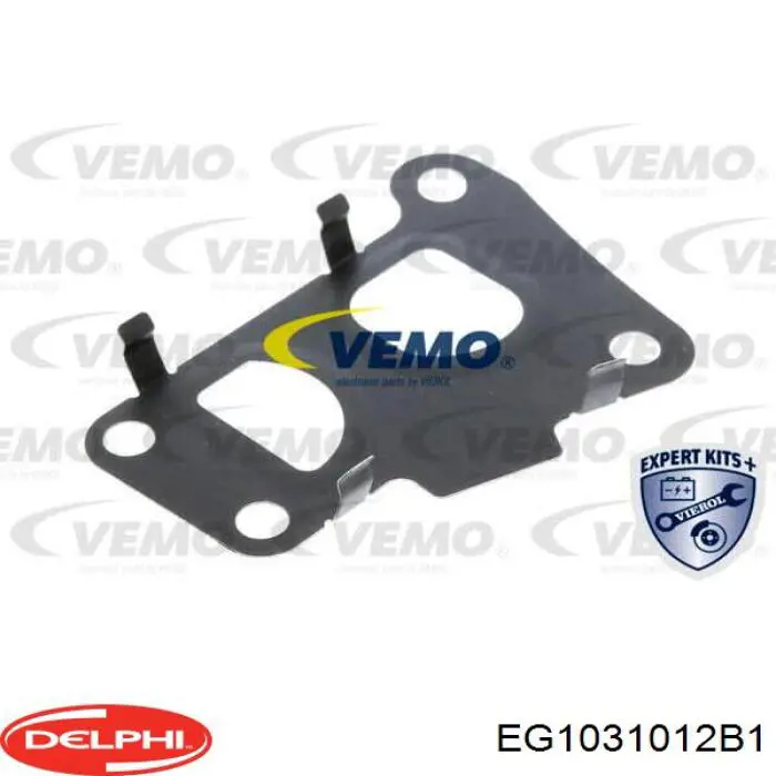 EG1031012B1 Delphi Válvula EGR