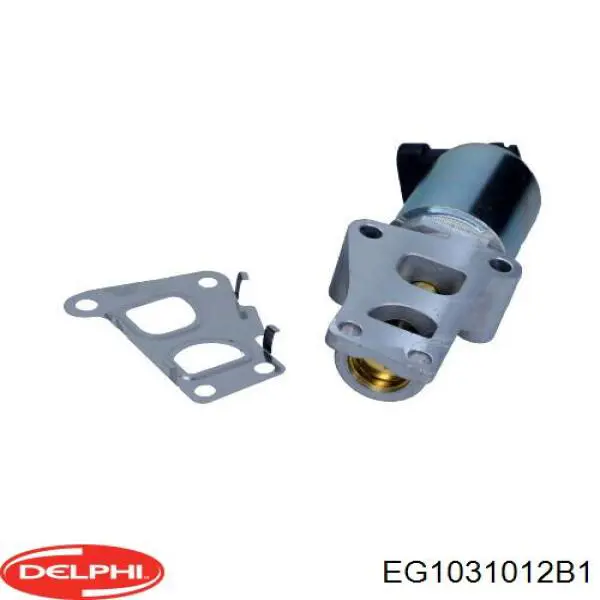 Comprar EG1031012B1 Delphi Válvula EGR