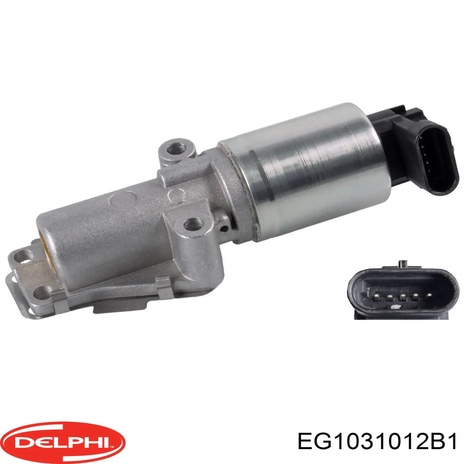 Válvula EGR EG1031012B1 Delphi