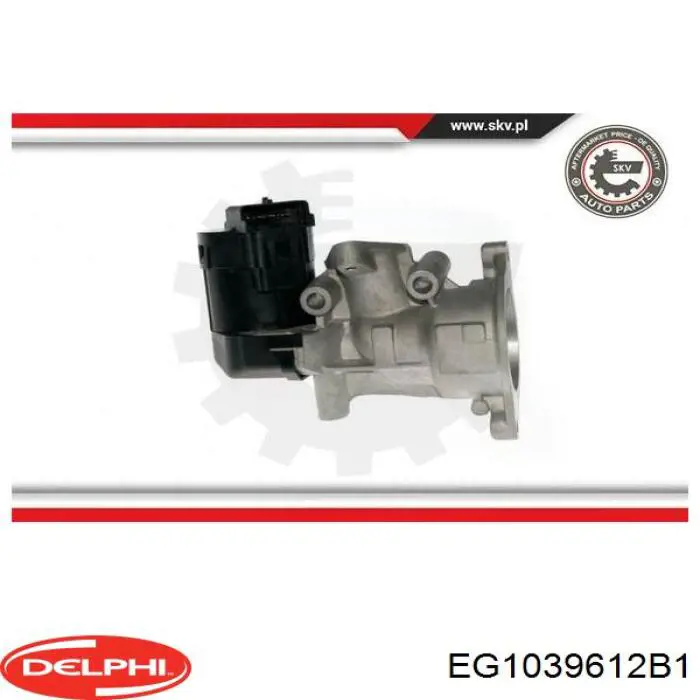 Comprar EG1039612B1 Delphi Válvula EGR