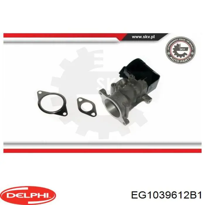 Válvula de regulación de gases Delphi EG1039612B1 precio, desde 123,78 EUR