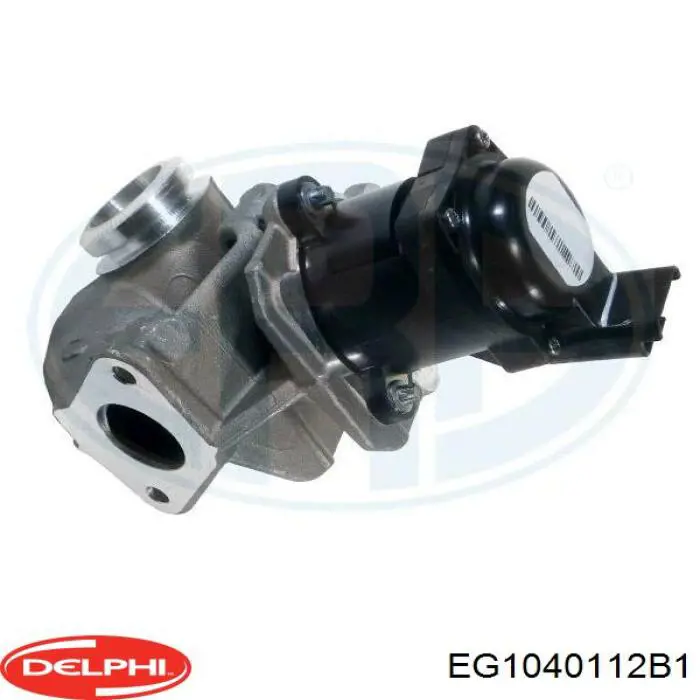 Comprar EG1040112B1 Delphi Válvula EGR
