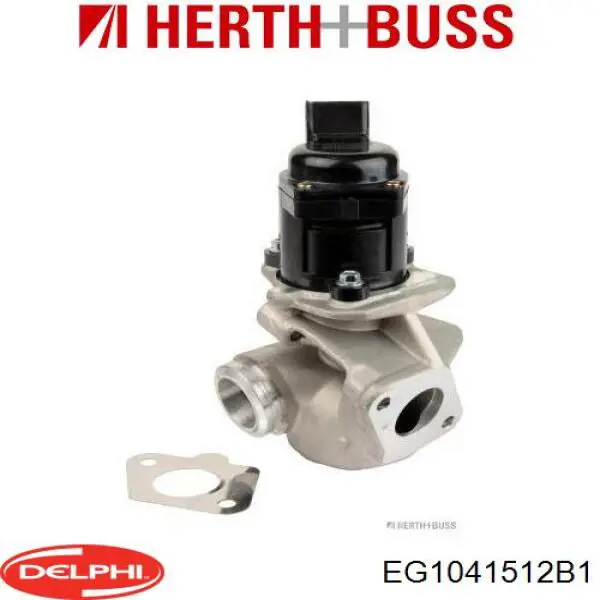 EGR Delphi EG1041512B1