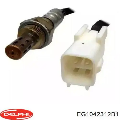 EGR Delphi EG1042312B1