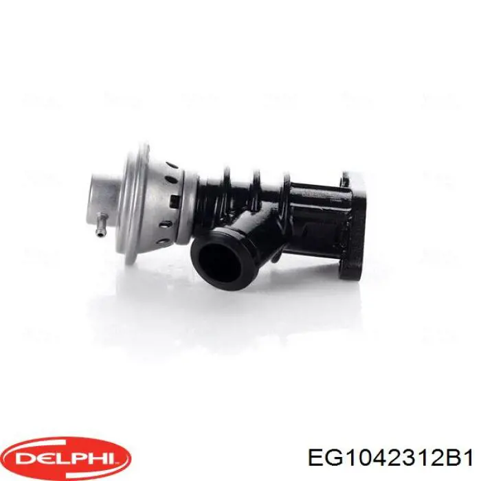 Comprar EG1042312B1 Delphi Válvula EGR