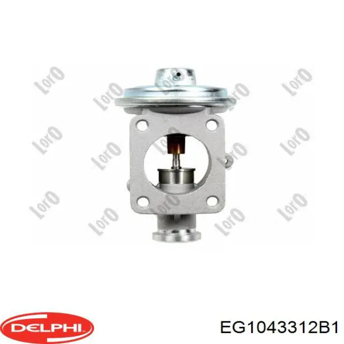 EGR ERA 555266